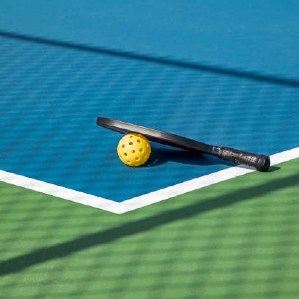 photo du terrain de pickleball au domaine de la brame, jeu de raquette accesible à tous proche de sarlat