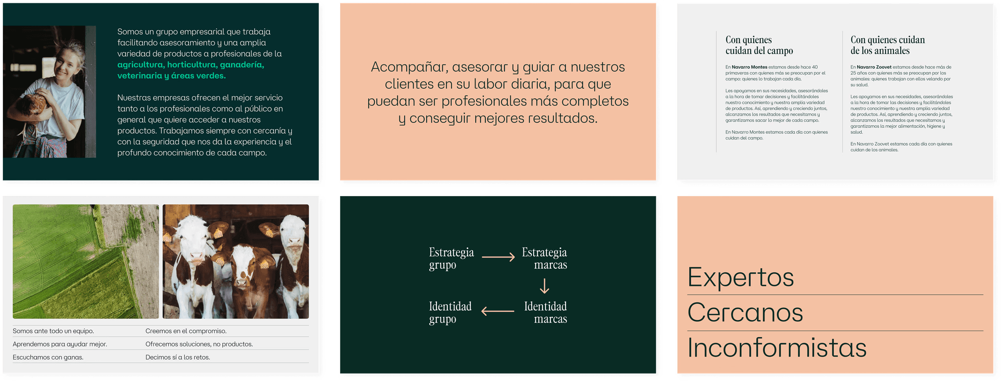 Logotipo formado por las palabras weuta en blanco sobre fondo naranja corporativo.