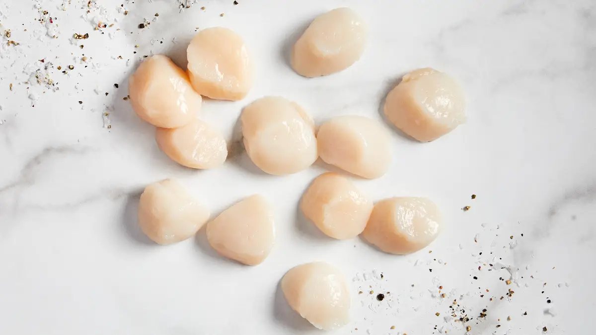 Sea Scallops