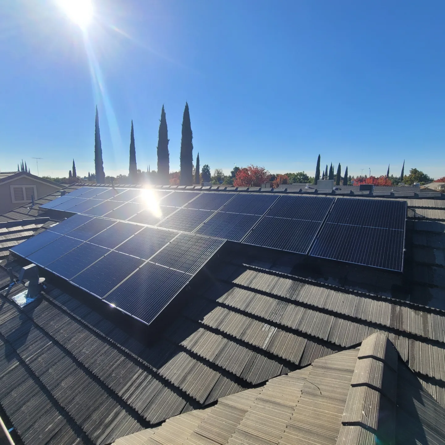 Rooftop solar array with cypress trees in the sun | Premier Solar Service