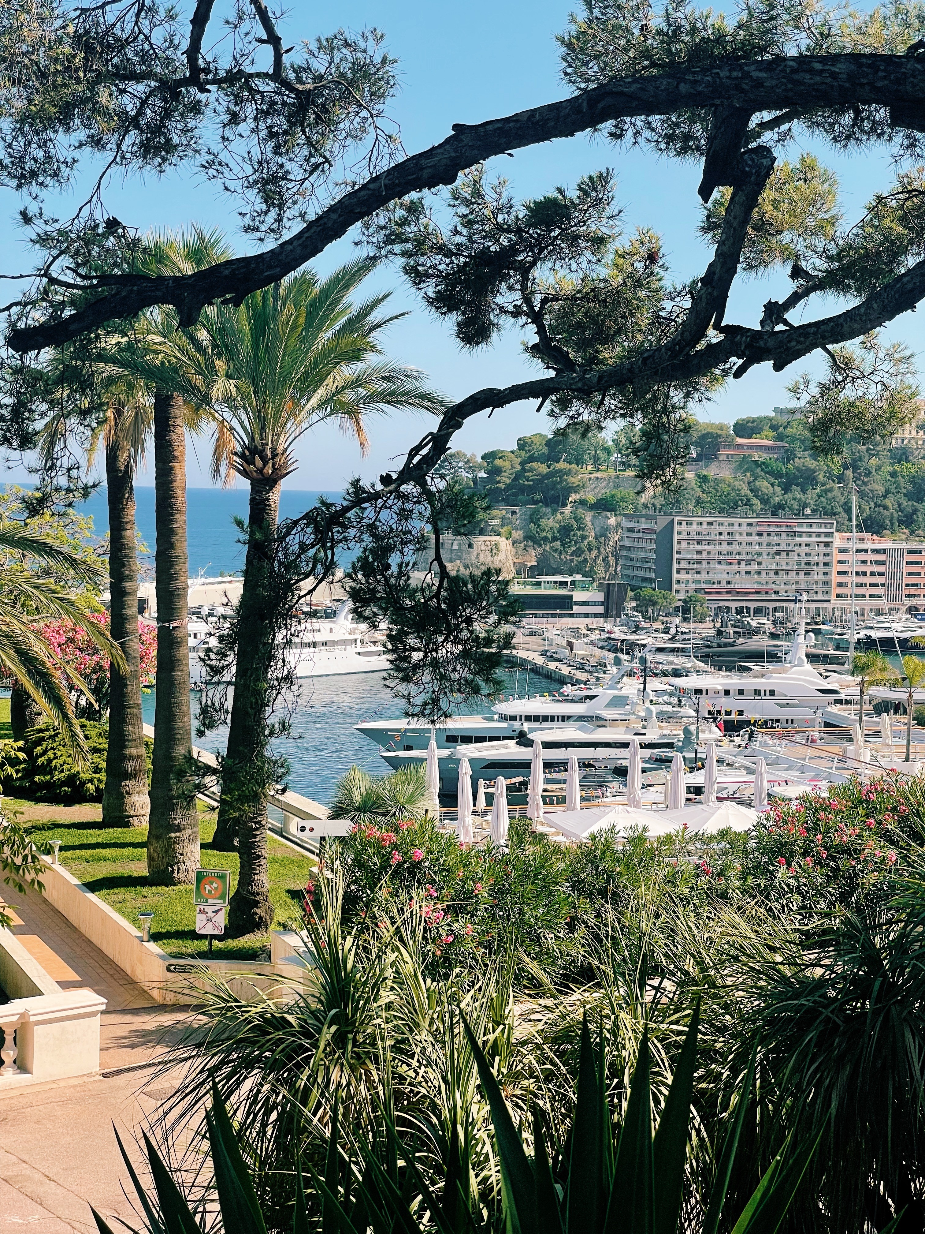 Dom Pérignon vineyards from the sky