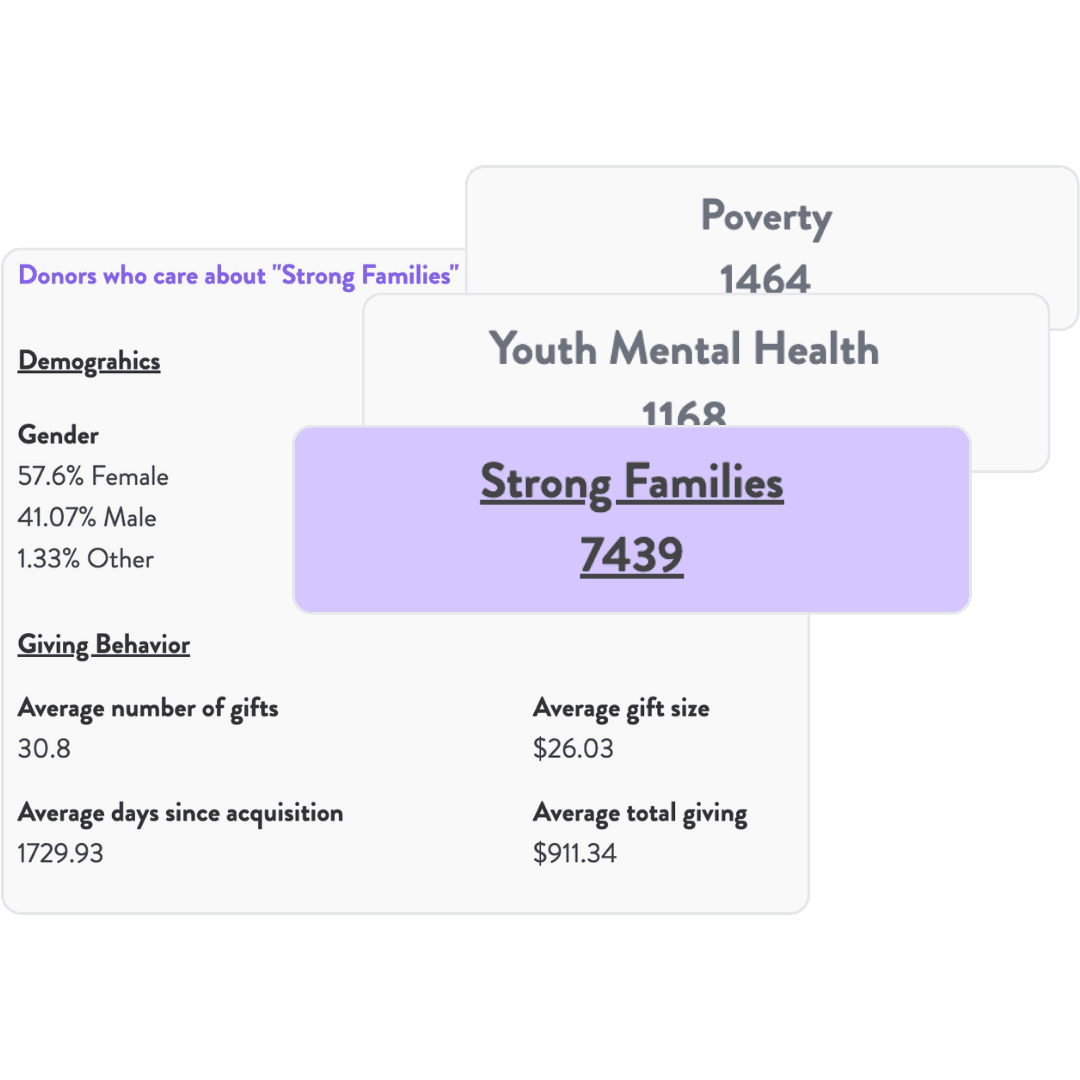 Screenshot of a donor interest areas audience summary, showing a demographic and behavior analysis of donors who care most about "strong families"