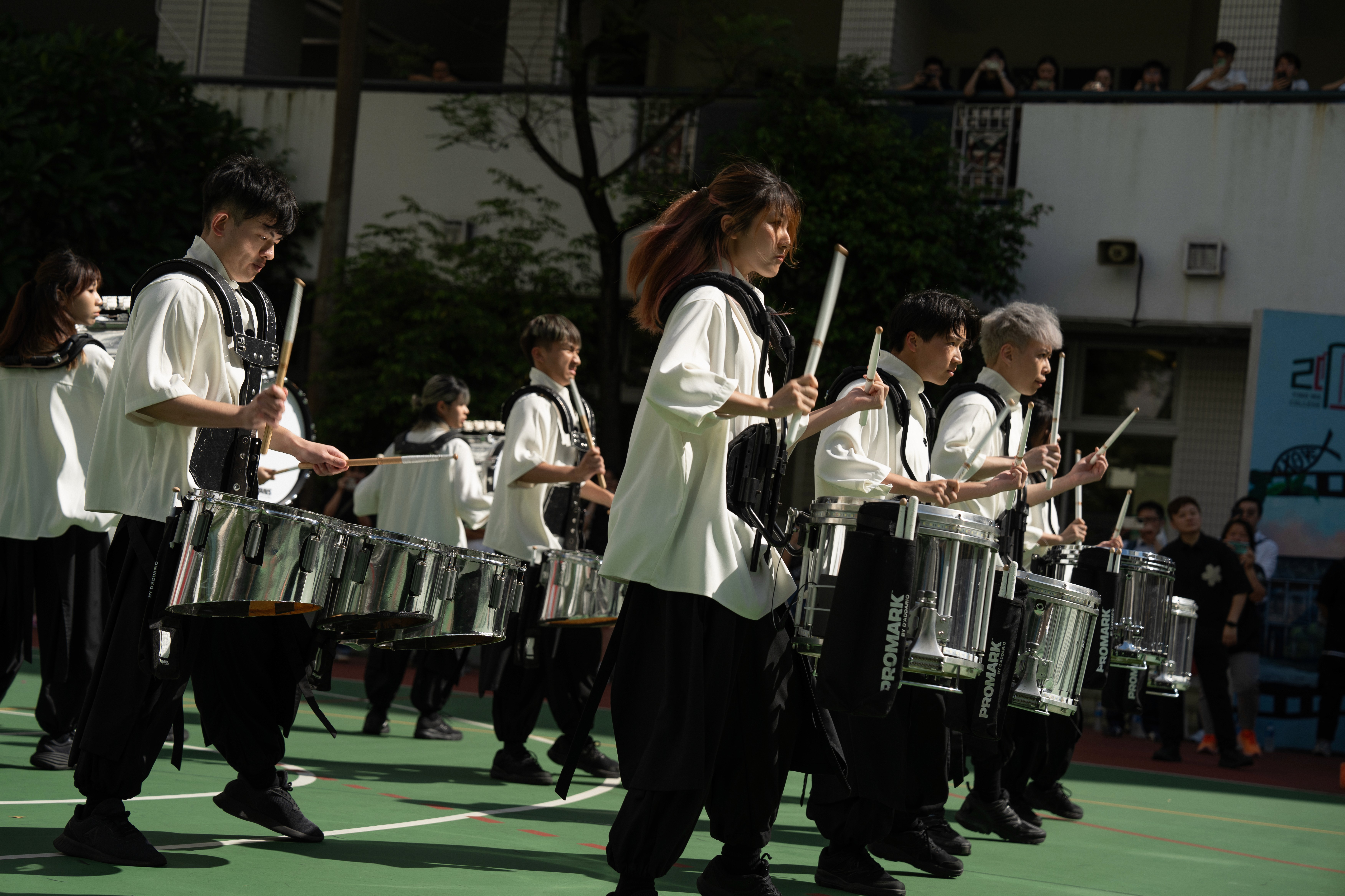 wind breeze, tree move