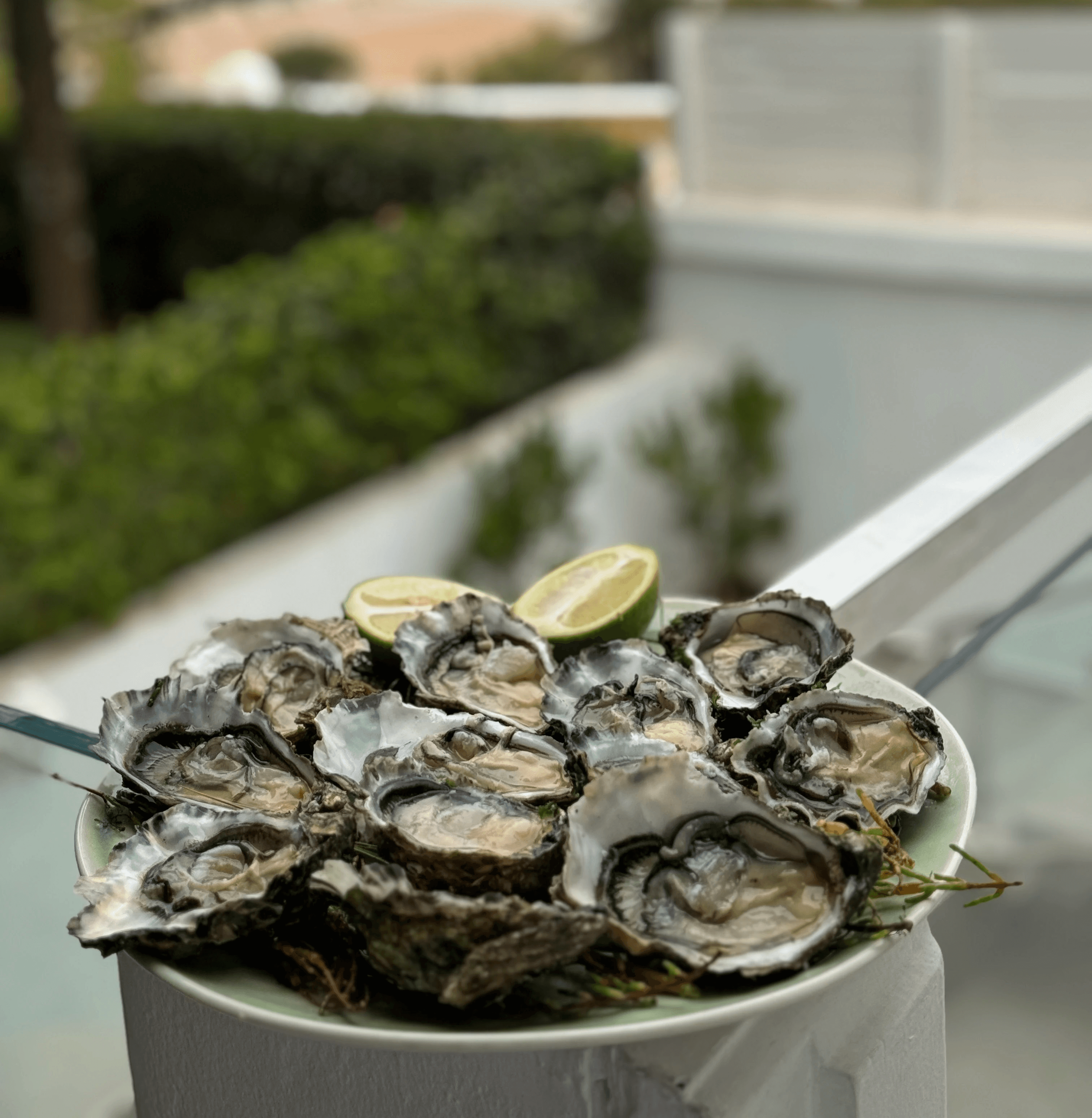 huitres à maison simonetta