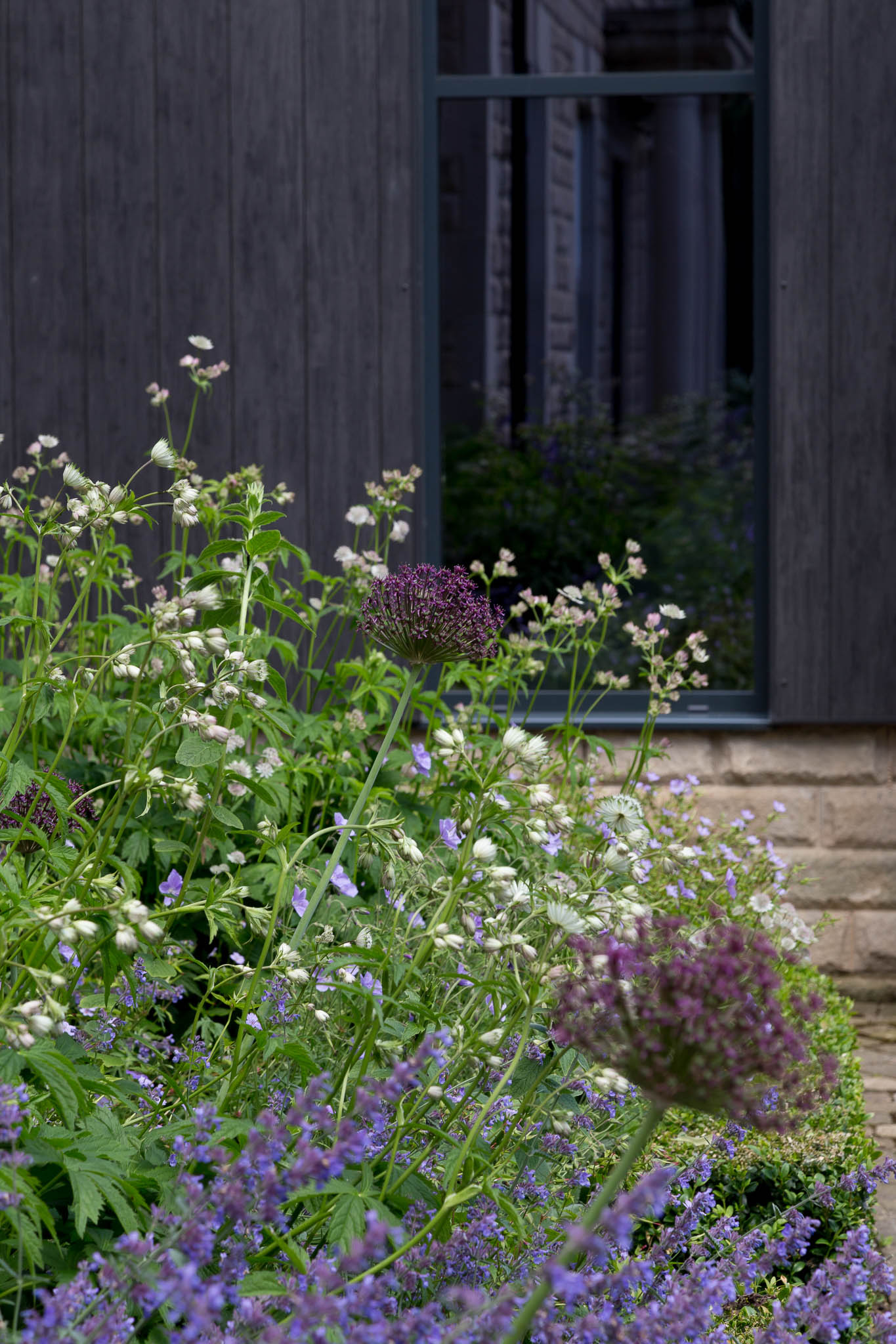 Contemporary Woodland Garden