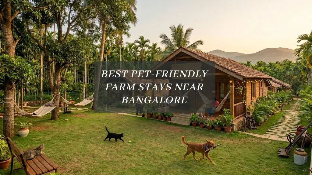 Best Pet-Friendly Farm Stays Near Bangalore for this Summer Vacation