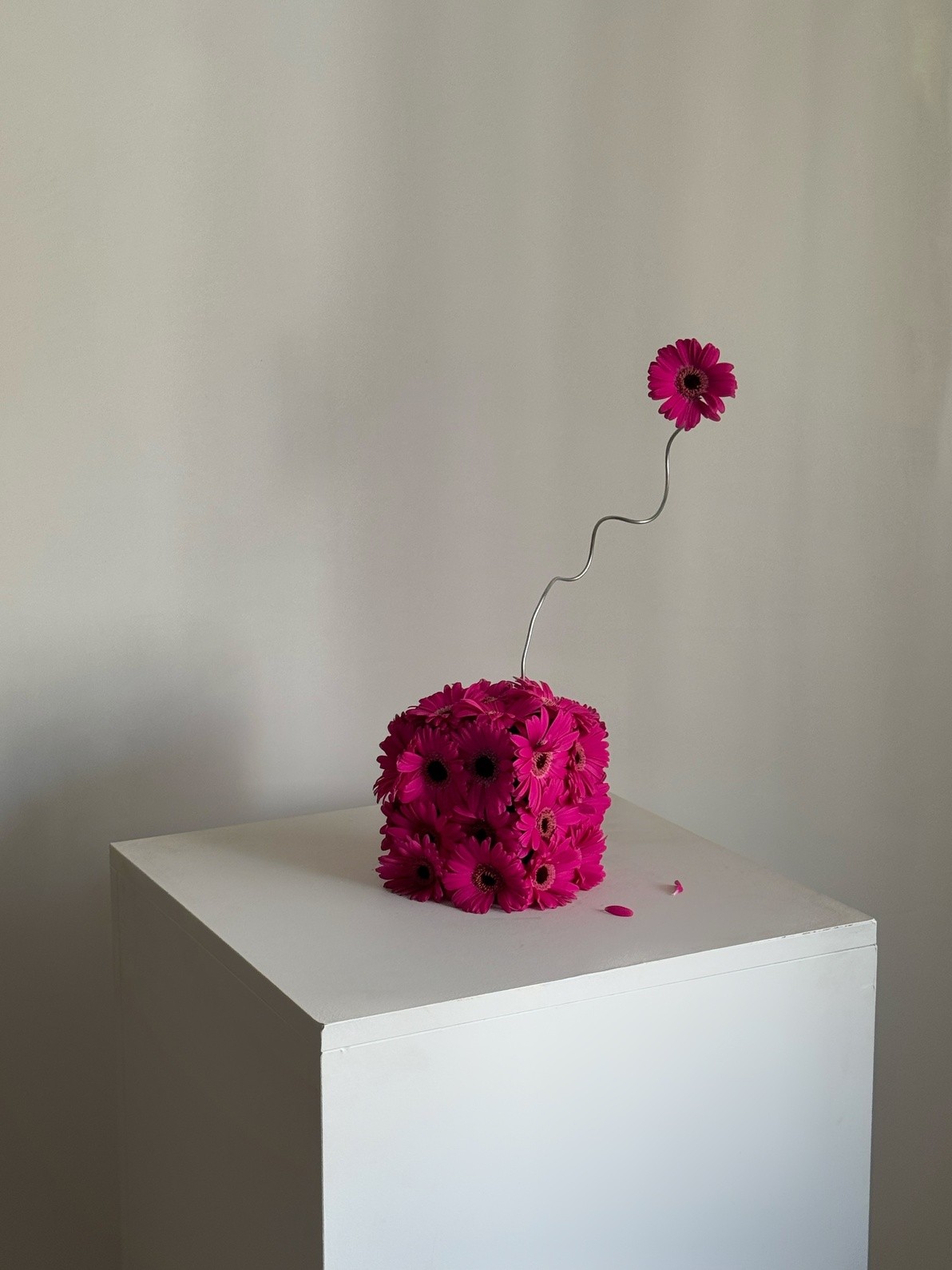 Contemporary suspended floral installation