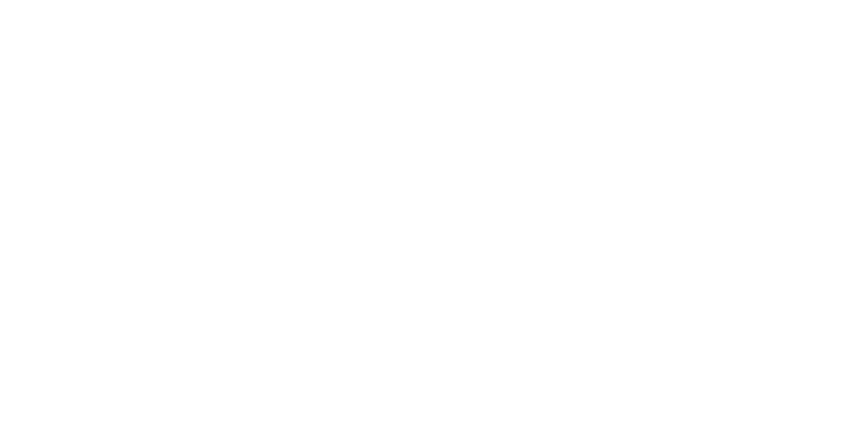 Logo NIjhuis Saur 