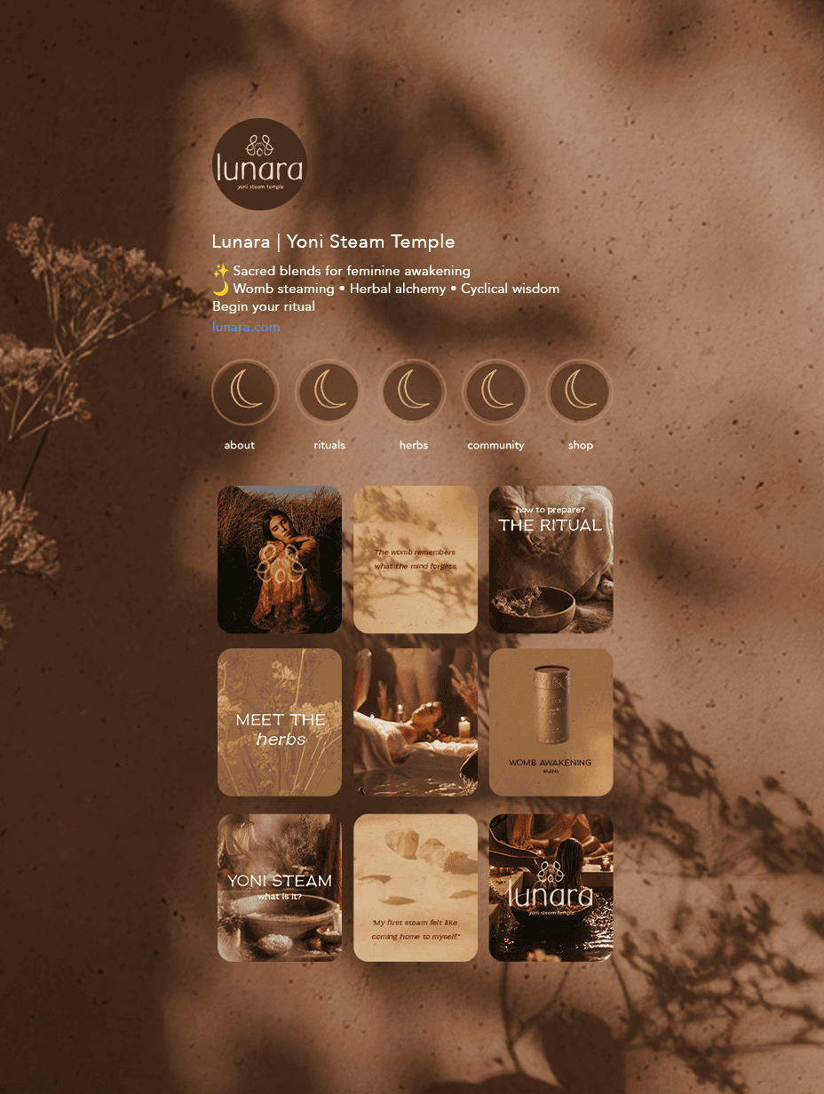 social media design for lunara