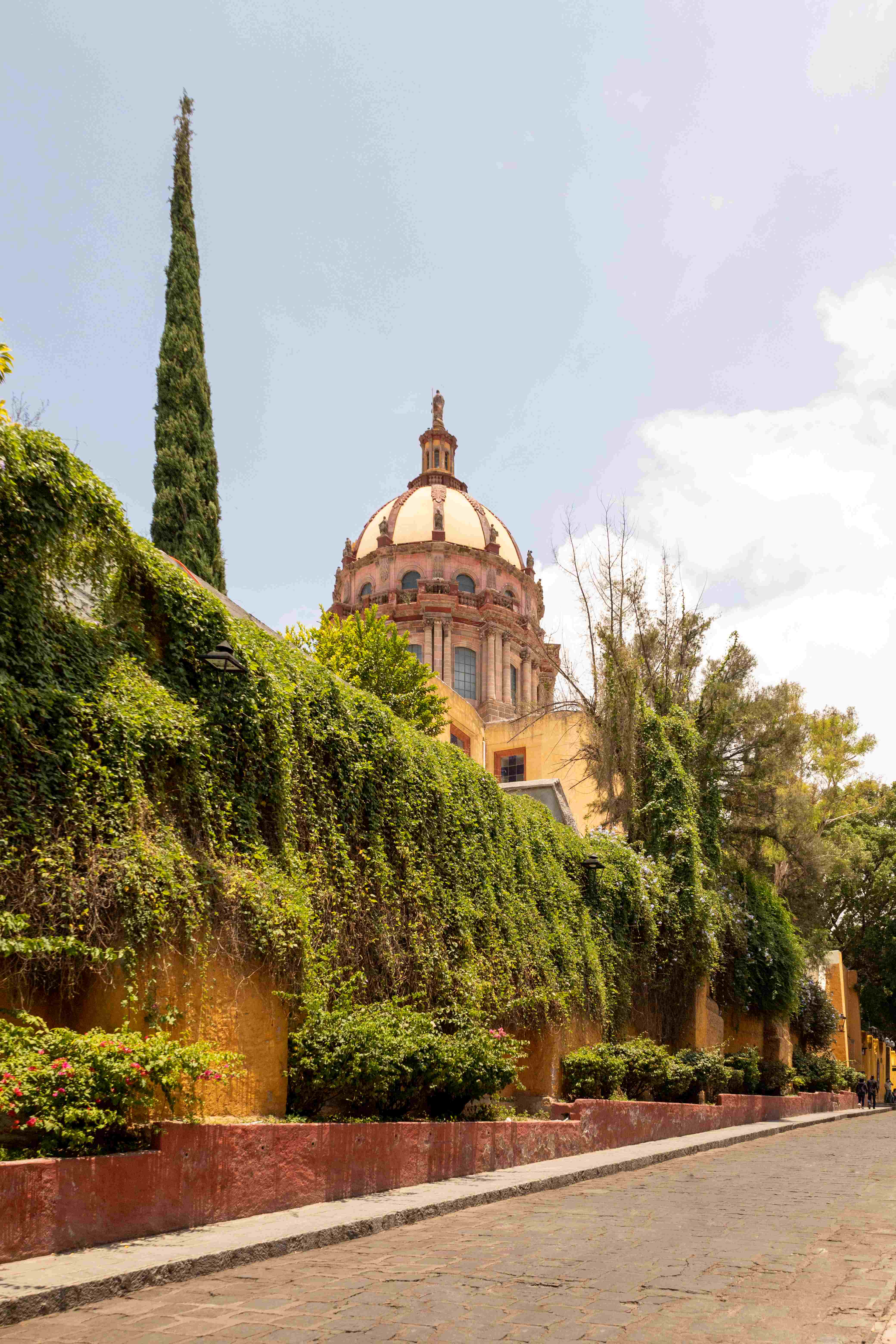 Calle arbolada en Querétaro con vistas a una cúpula histórica y un paisaje urbano tradicional.