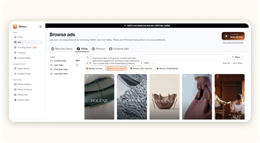 Top-performing TikTok ads on Minea