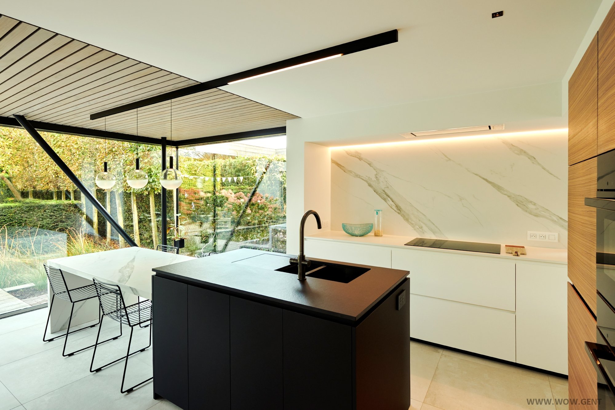 A green butterfly rests on a flower.