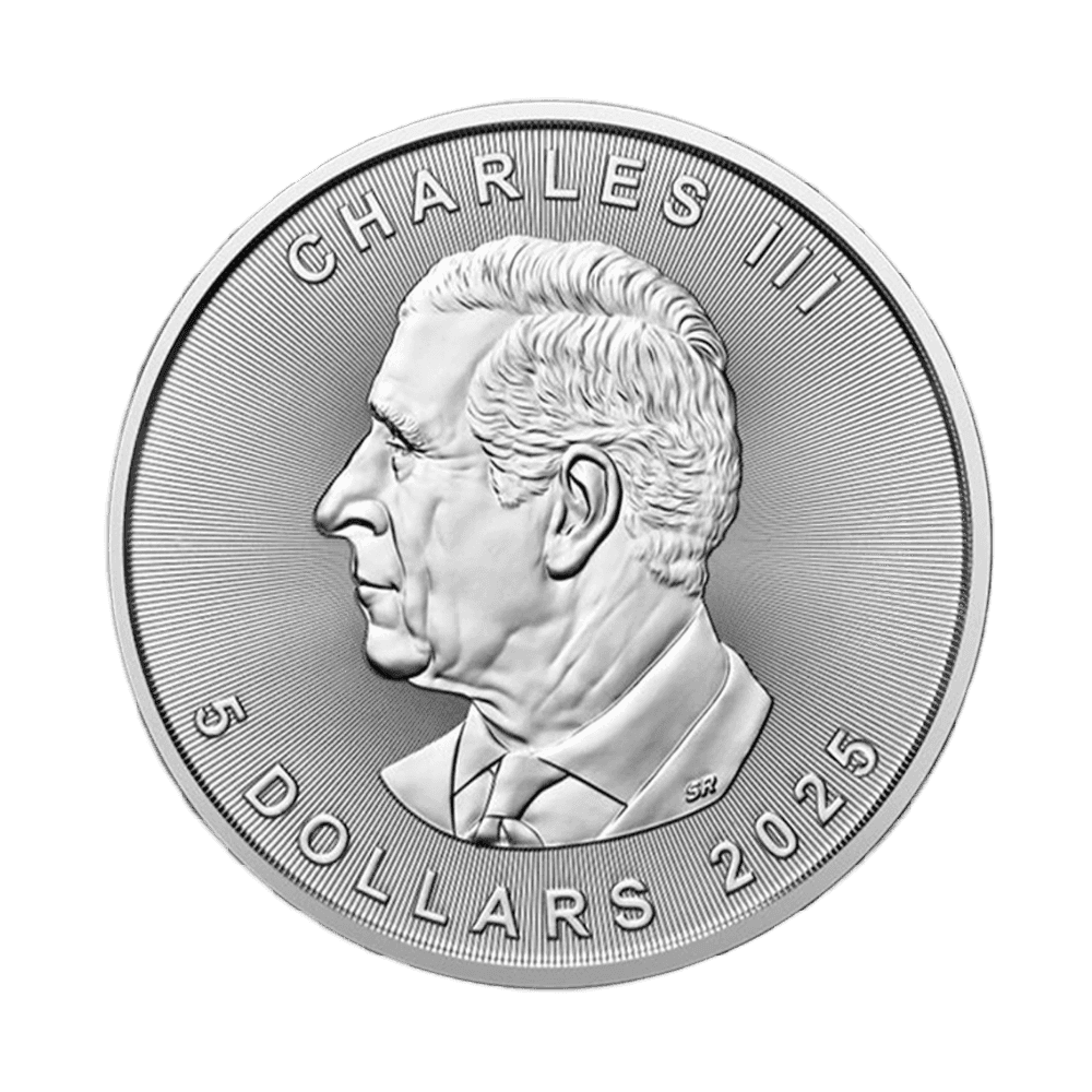 Logo 05 (Background Removed)