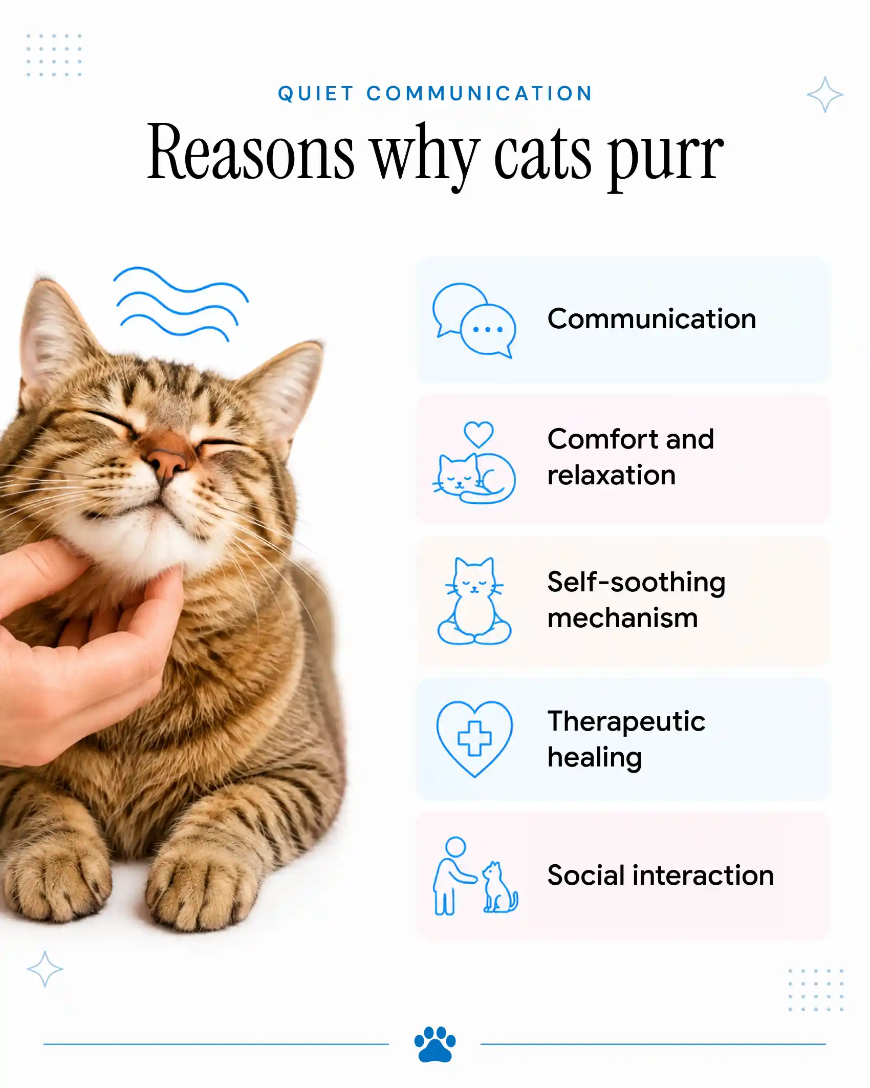 An infographic showing the reasons why cats purr.