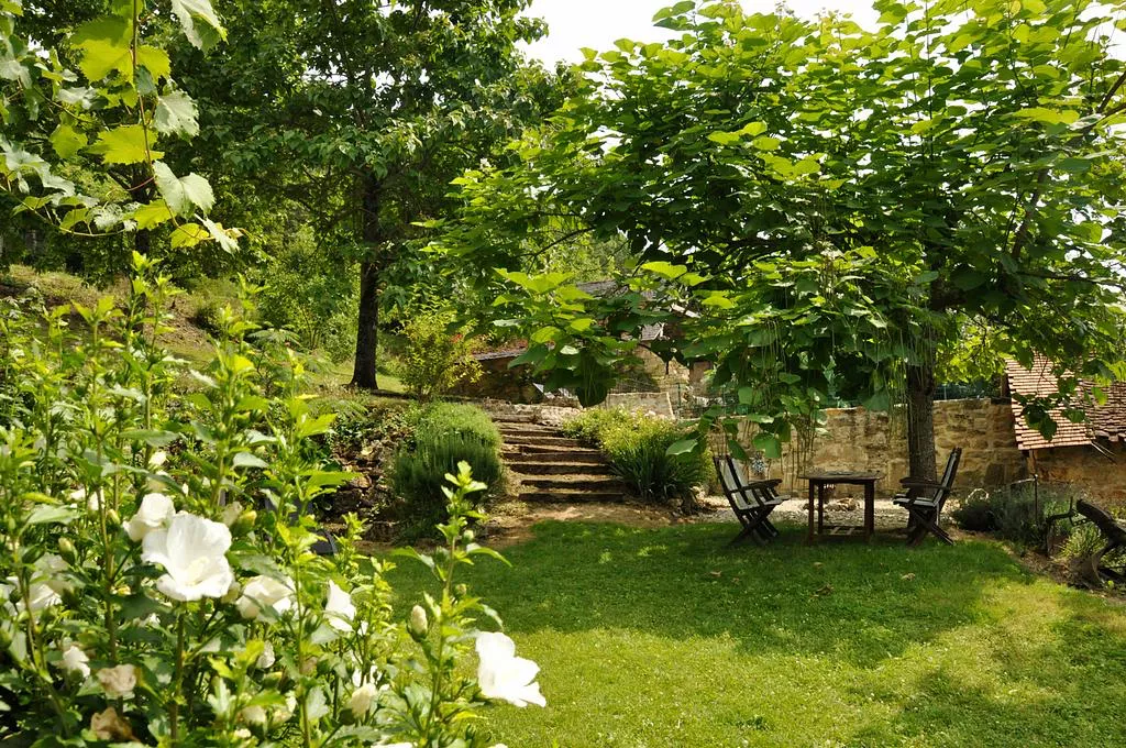 tuin