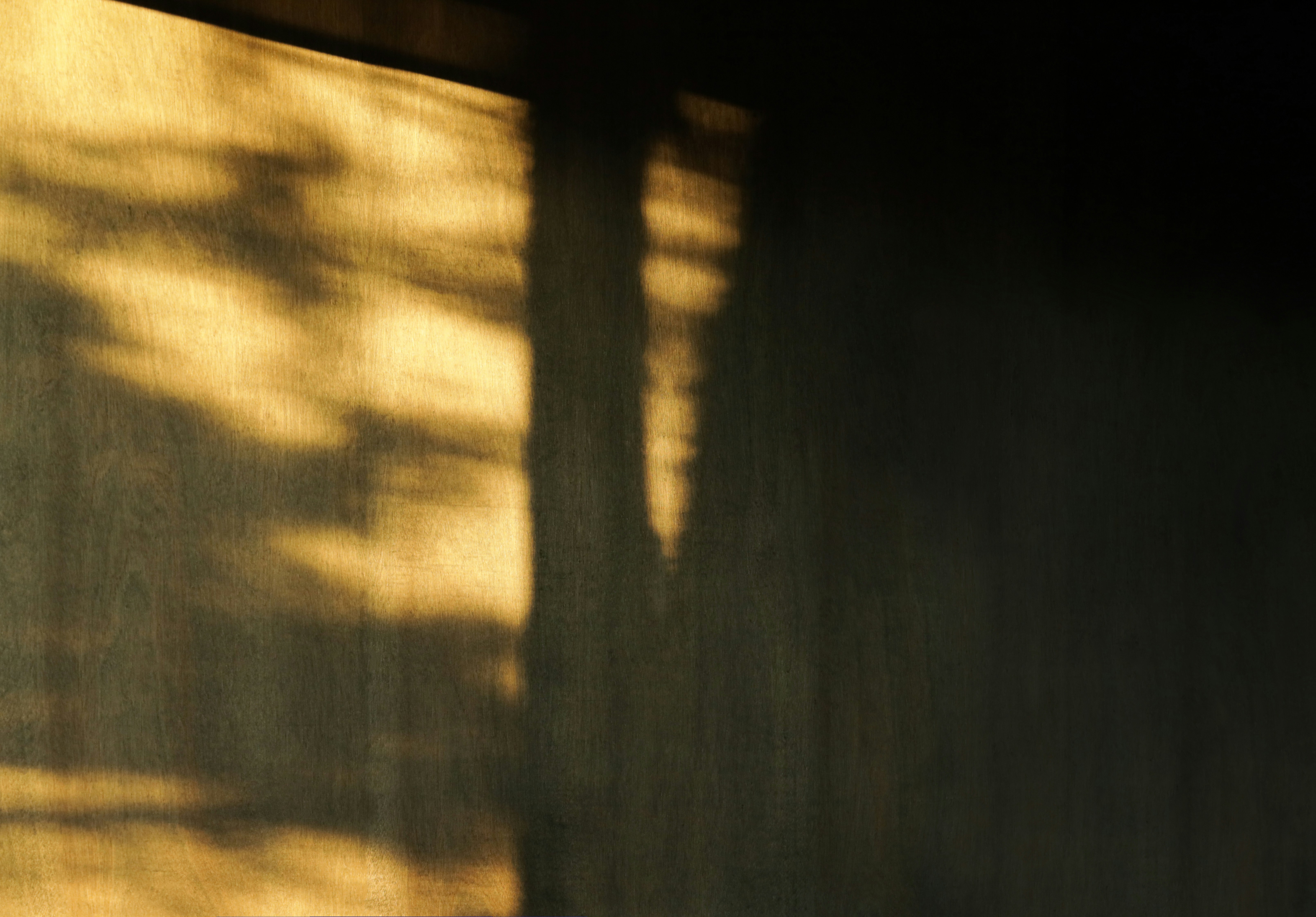 Sunlight casting tree shadows on a wall.