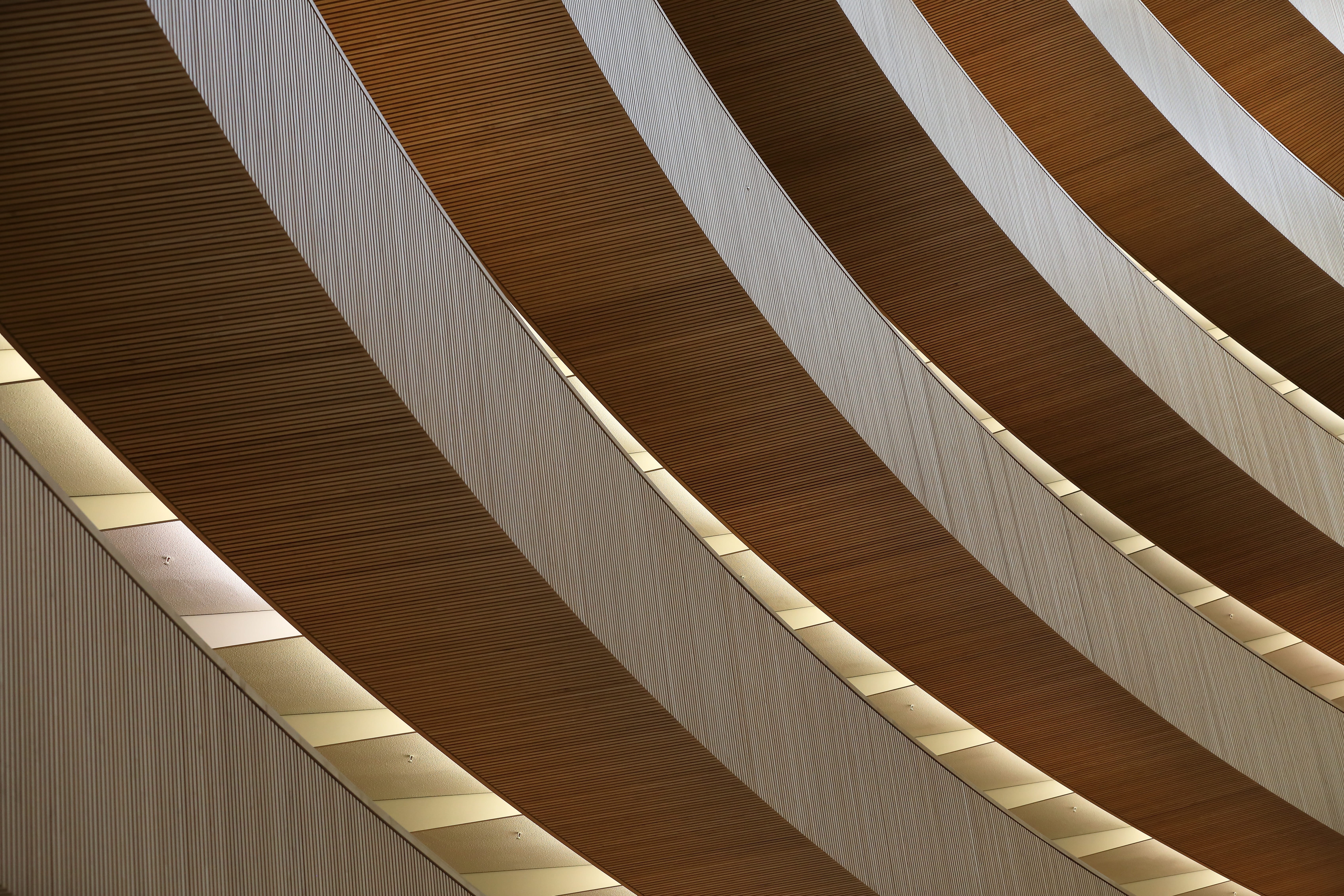 Main image of project.