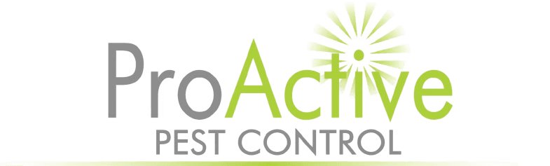 Orginal Logo