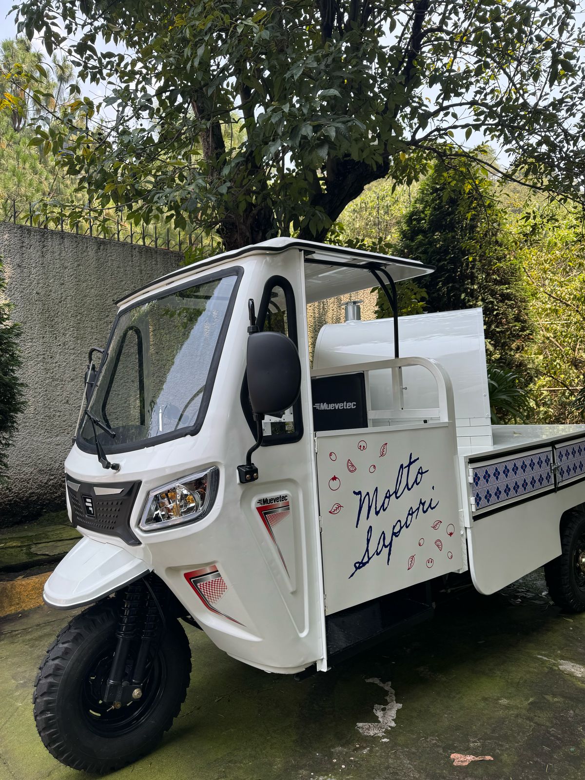 Carrito de Pizzas Artesanales 2
