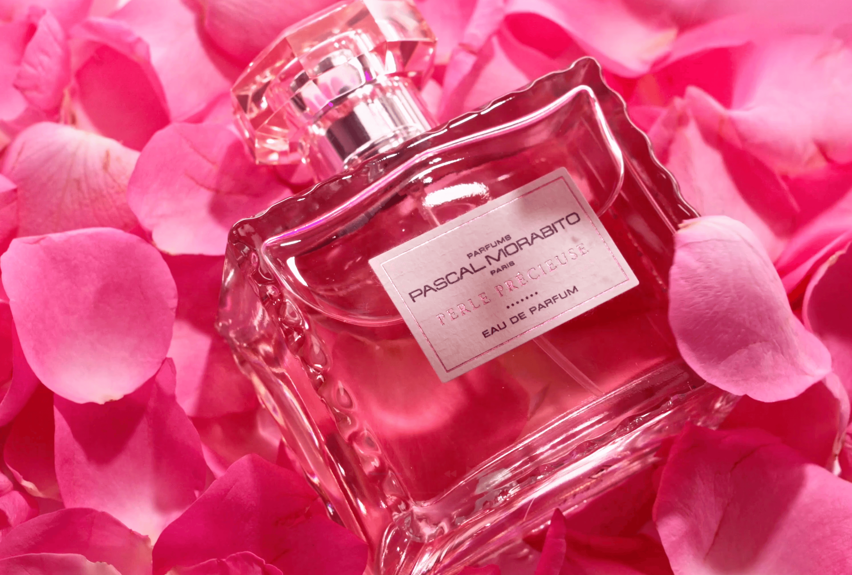 장미 꽃잎 사이에 비스듬히 배치된 향수 보틀 비주얼 연출 컷