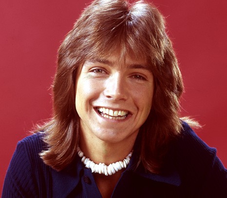 Portrait of David Cassidy