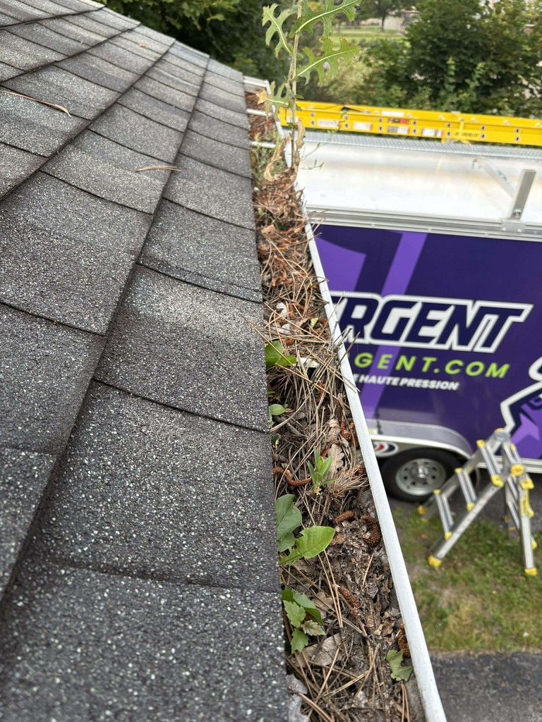 Nettoyage de gouttières à Montmagny