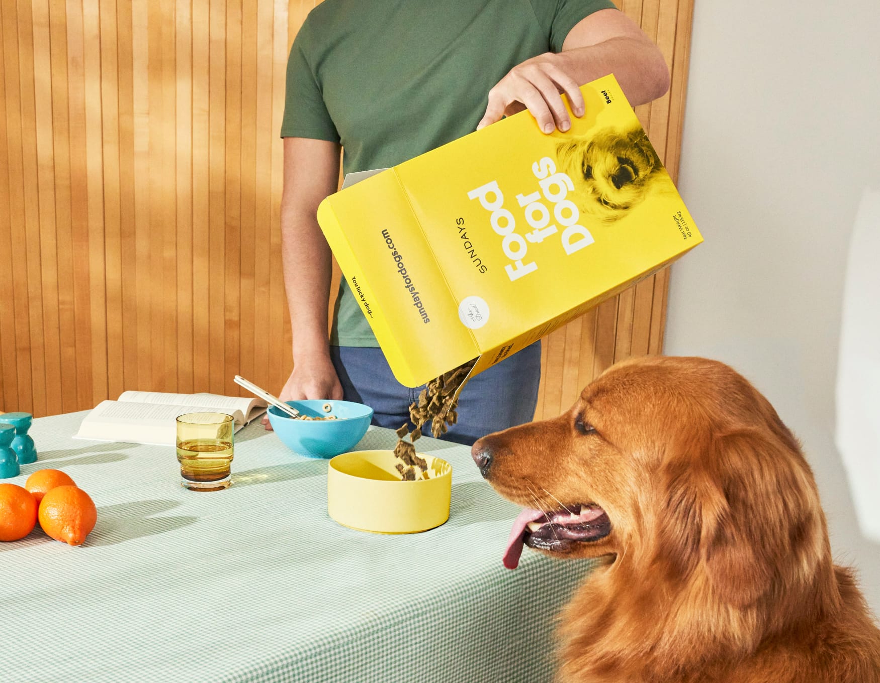 Man pouring dog food into bowl