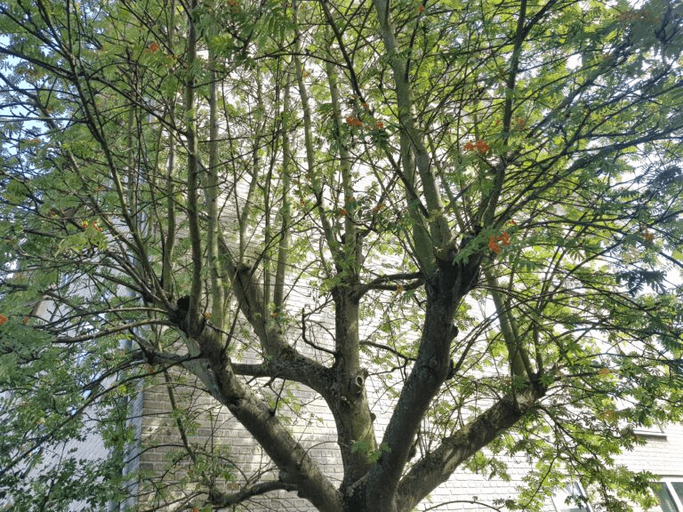 An image of Dreelio's dashboard