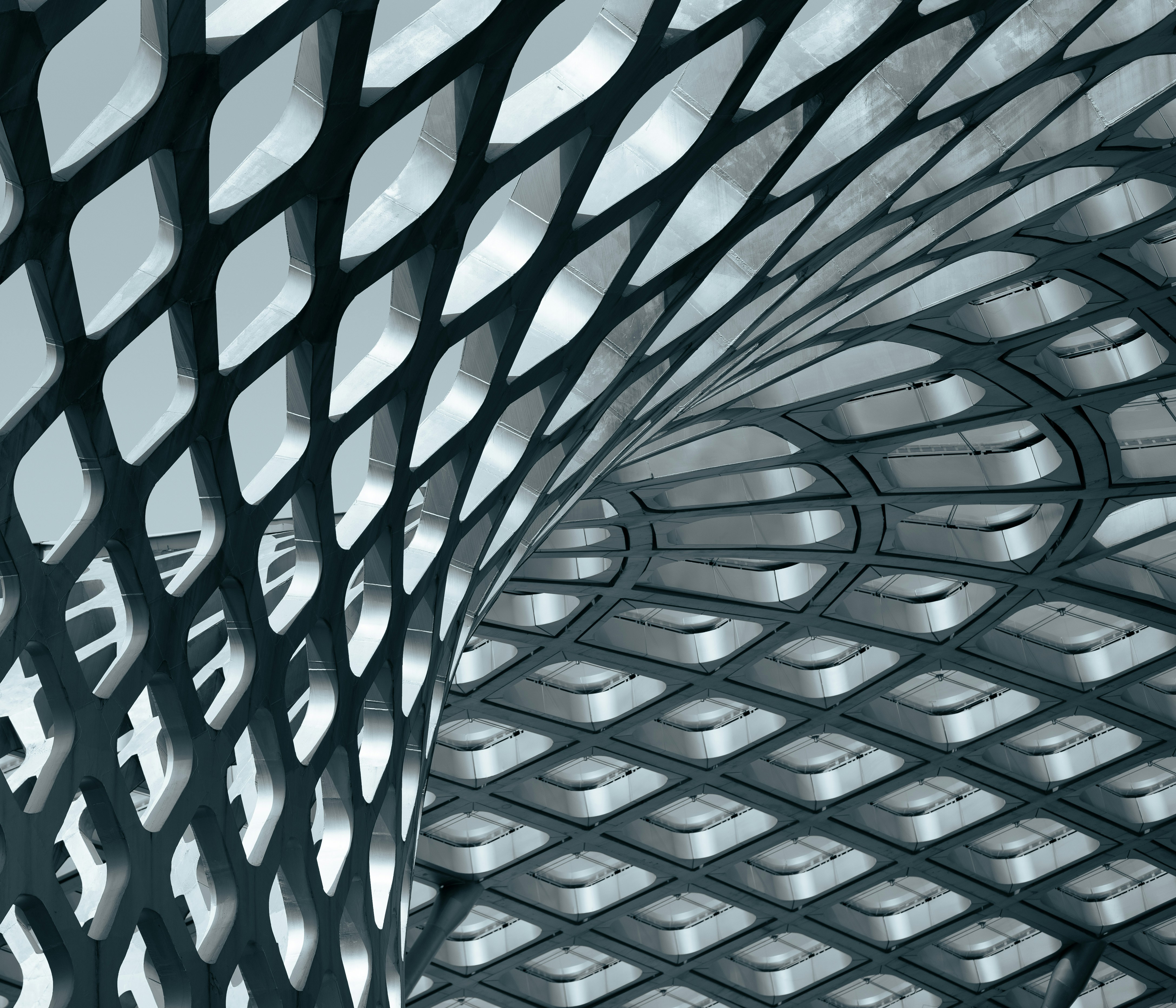 Dynamic picture of a cyclist riding downhill