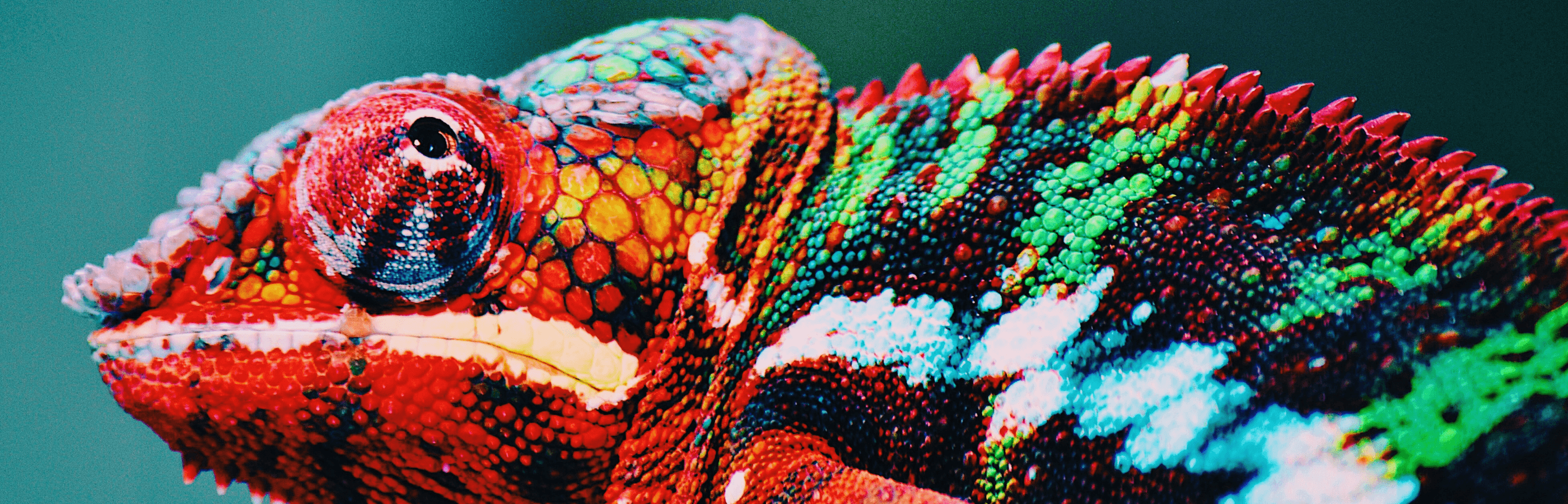 a blue and pink wave