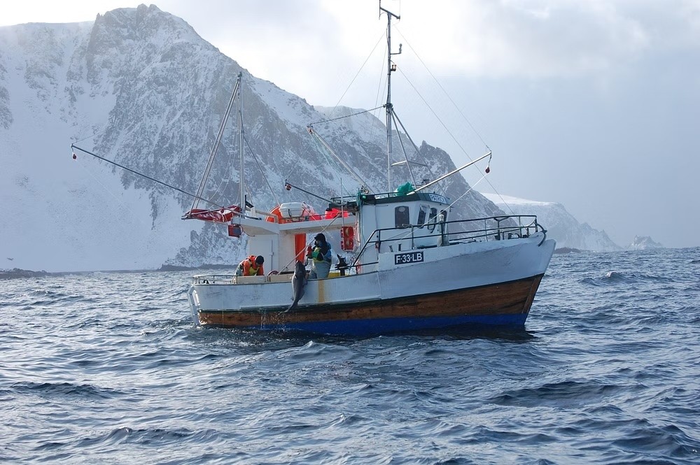 Bilderettigheter: Fiskeriavisa Kyst og Fjord