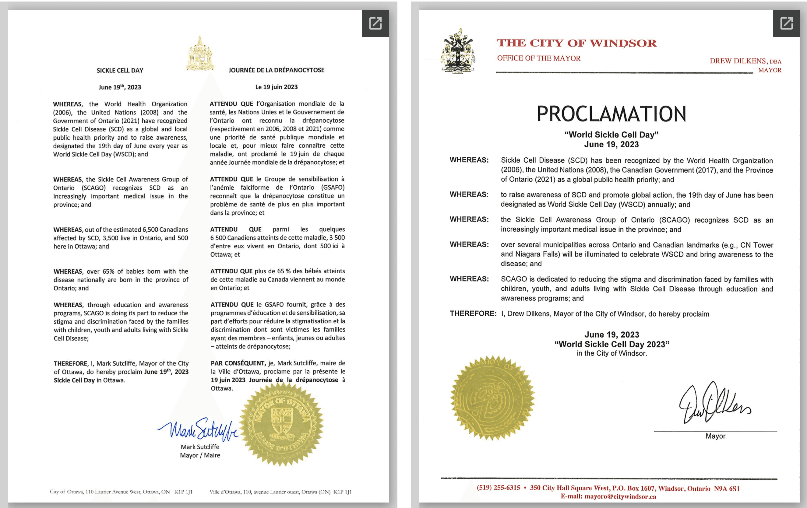 sickle cell day proclamations