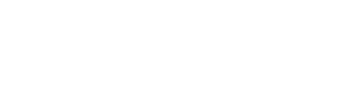 Perplexity Company Logo
