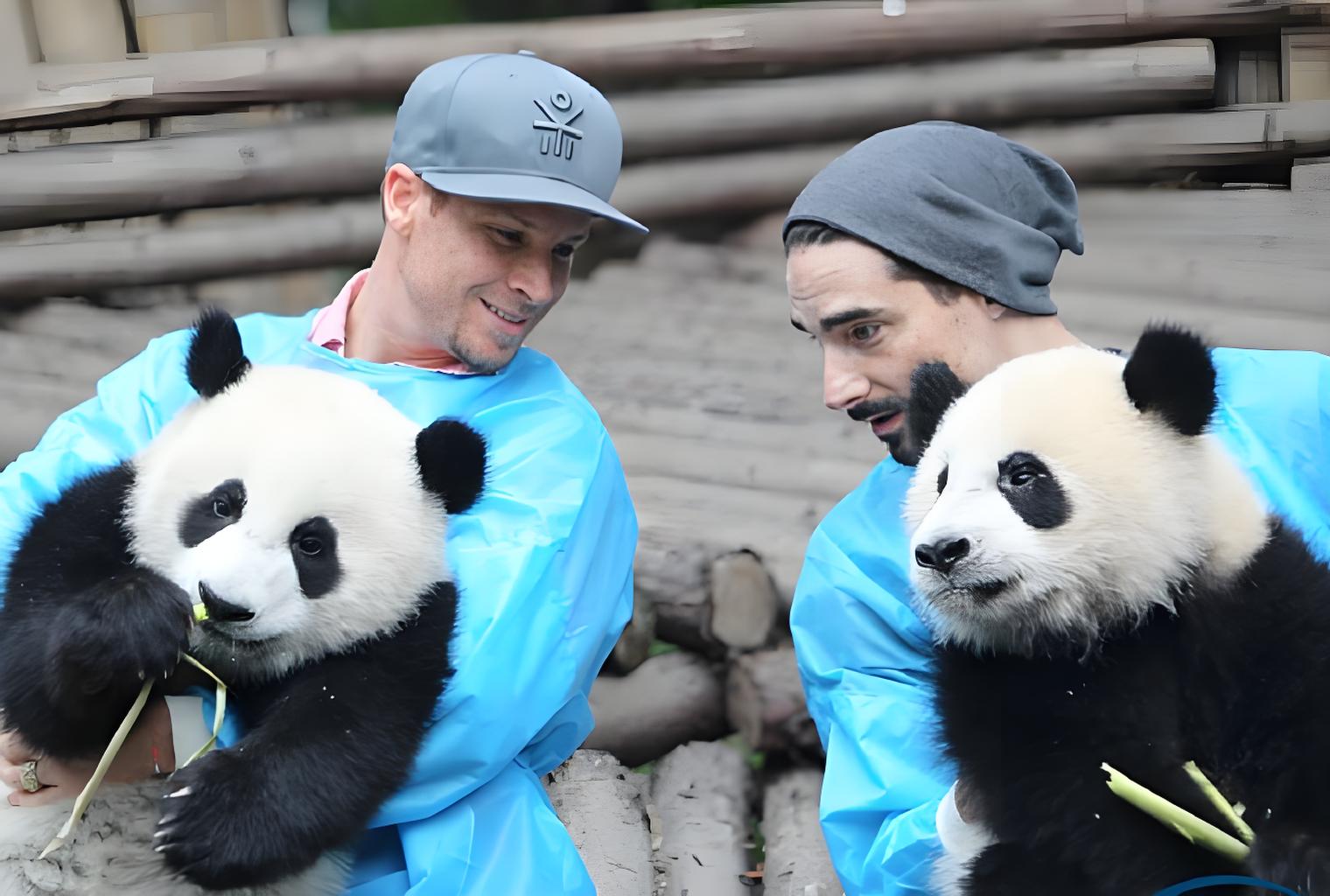 Panda Keeper Experience · Dujiangyan · Qingcheng Mountain Dujiangyan Panda Valley · Dujiangyan Irrigation System · Qingcheng Mountain