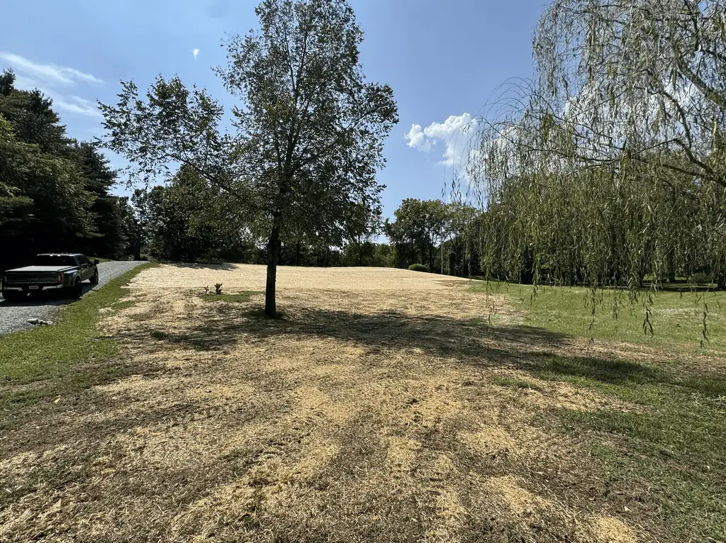 Freshly graded bare soil around a tree in a residential yard