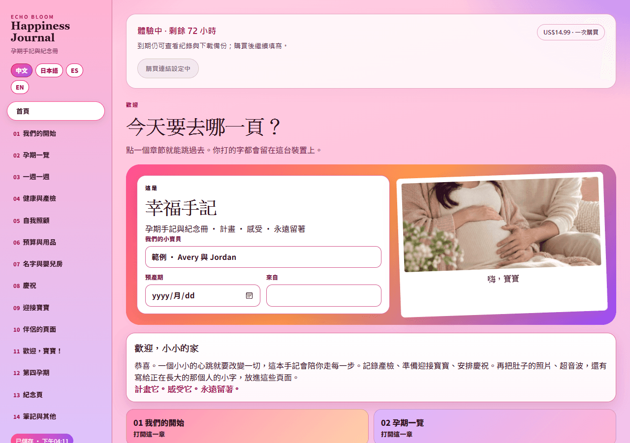 實際 Web App 畫面