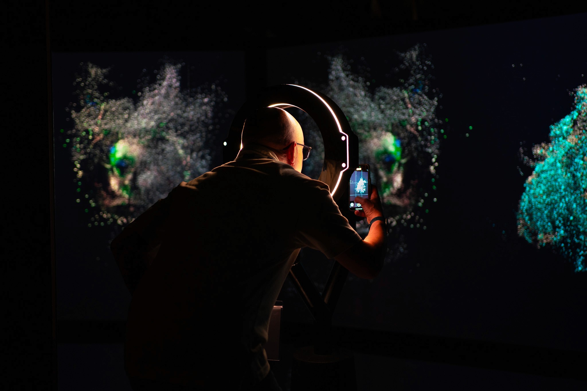 Dom Pérignon vineyards from the sky