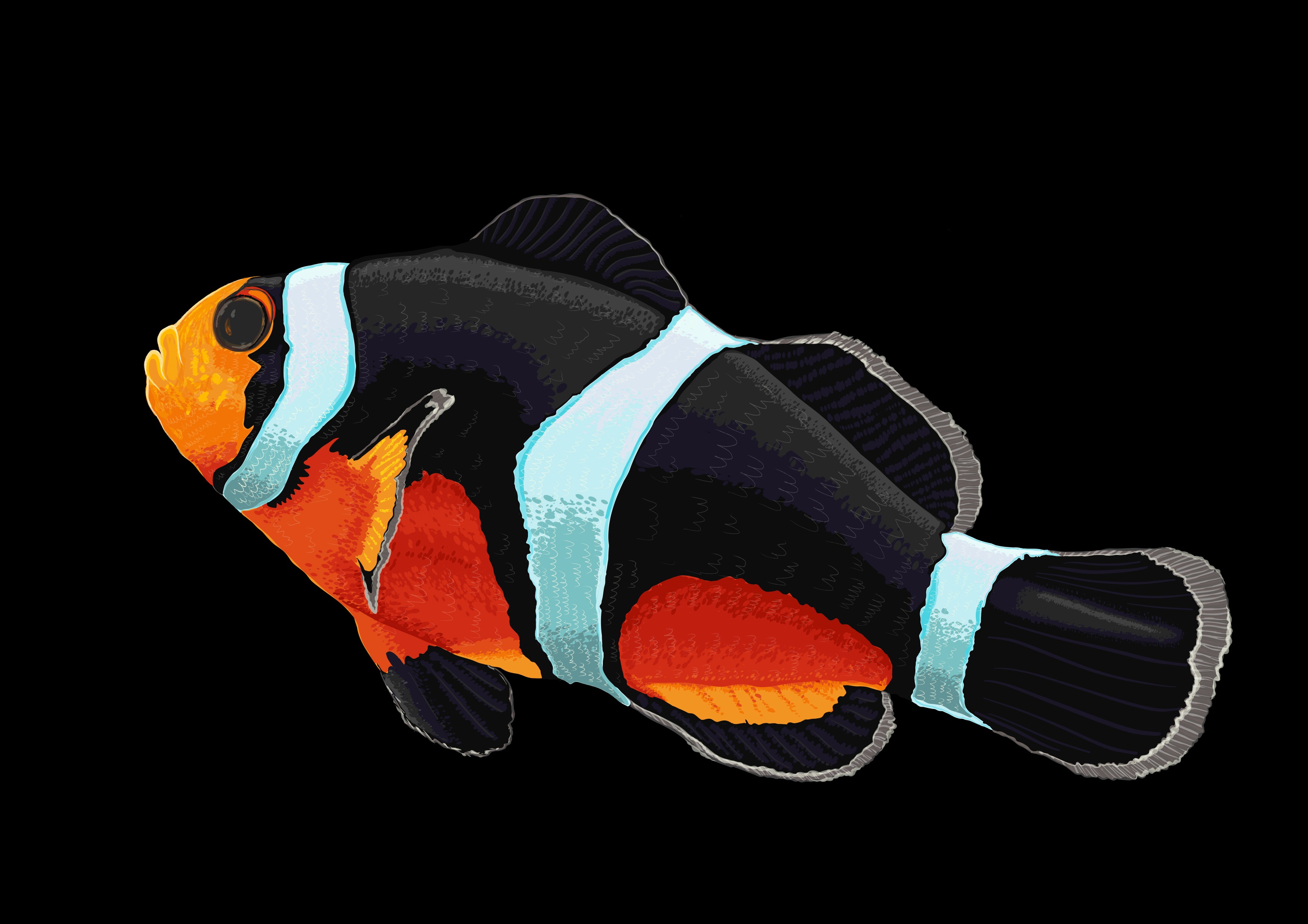 Featured Project Cover Image