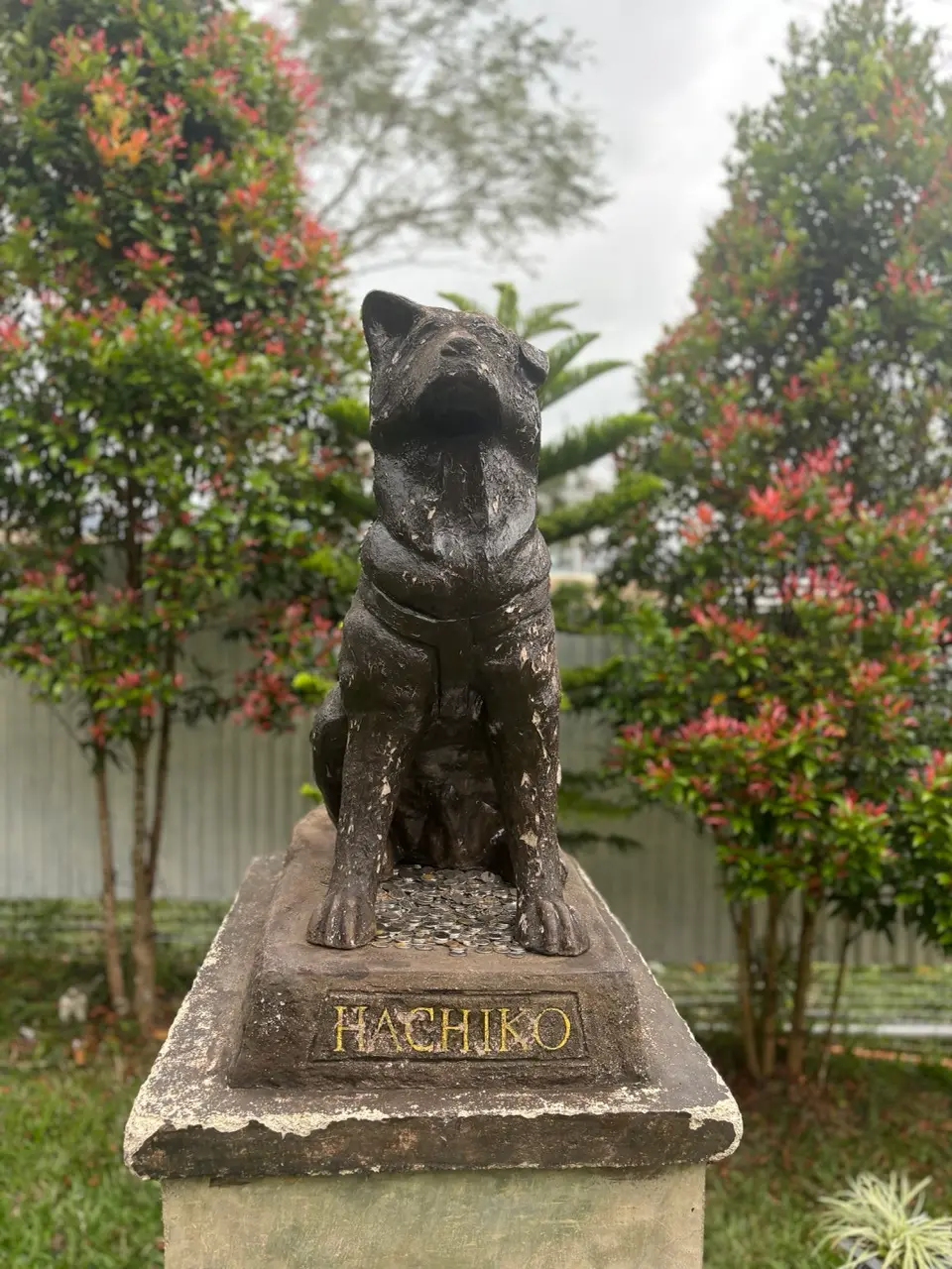 standbeeld bam eem japanse hond