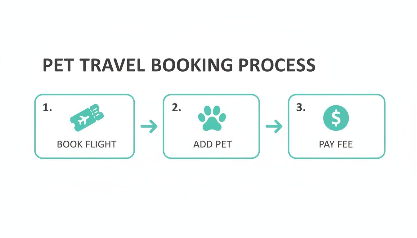 A three-step infographic outlining the pet travel booking process: book flight, add pet, pay fee.