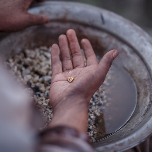 苏维廉山：黄金点入场票