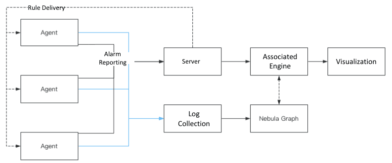 Detection principle architecture diagram