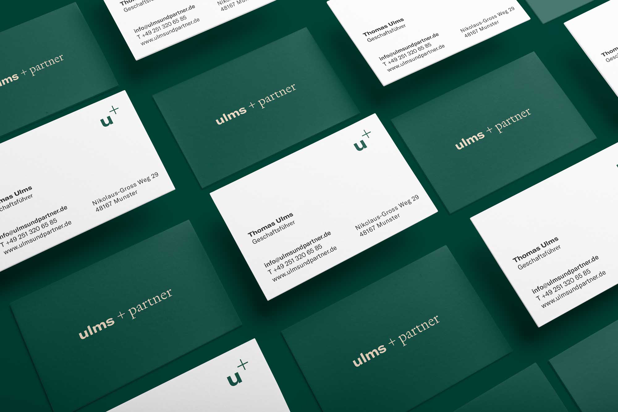 Briefpapier und Visitenkarten für Ulms + Partner – seriöses Design mit Farbwelt in Grün