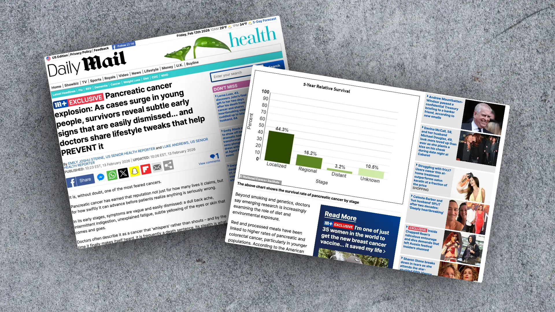 website template image