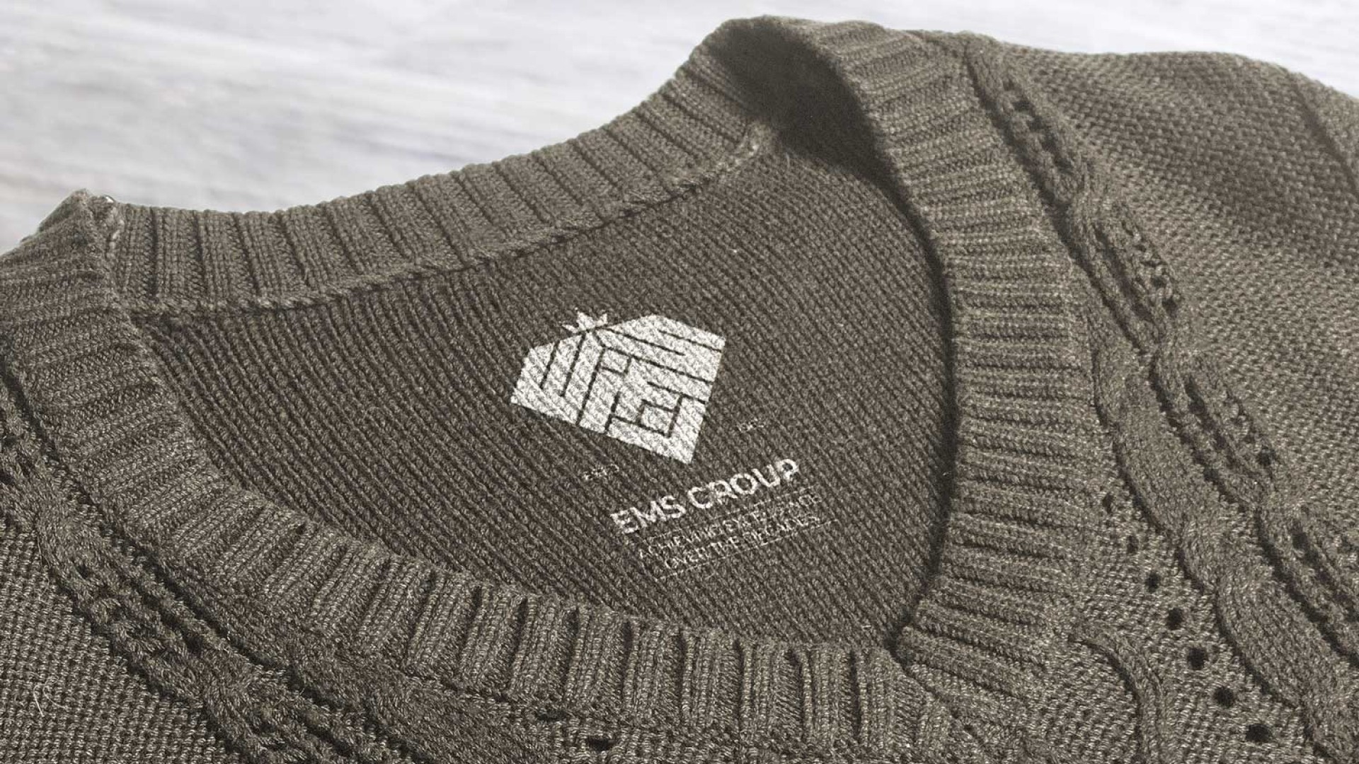 EMS Group logo on branded apparel — Penguincil Design