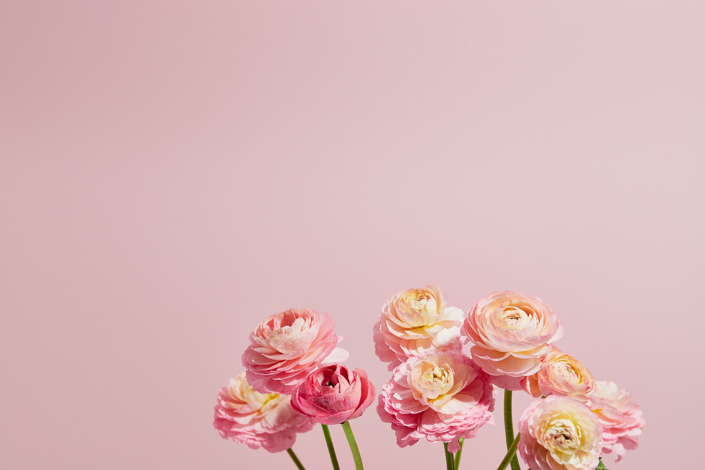 Startseite Hintergrundbild