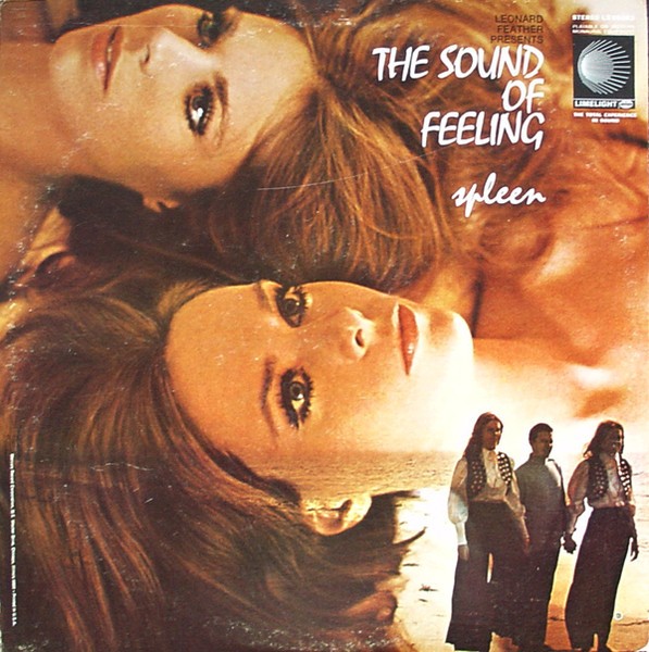 image of spleen the sound of feeling