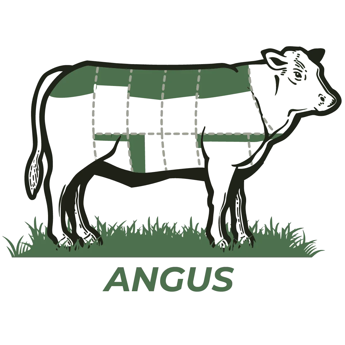 Angus cattle cut chart — quarter beef share outlined