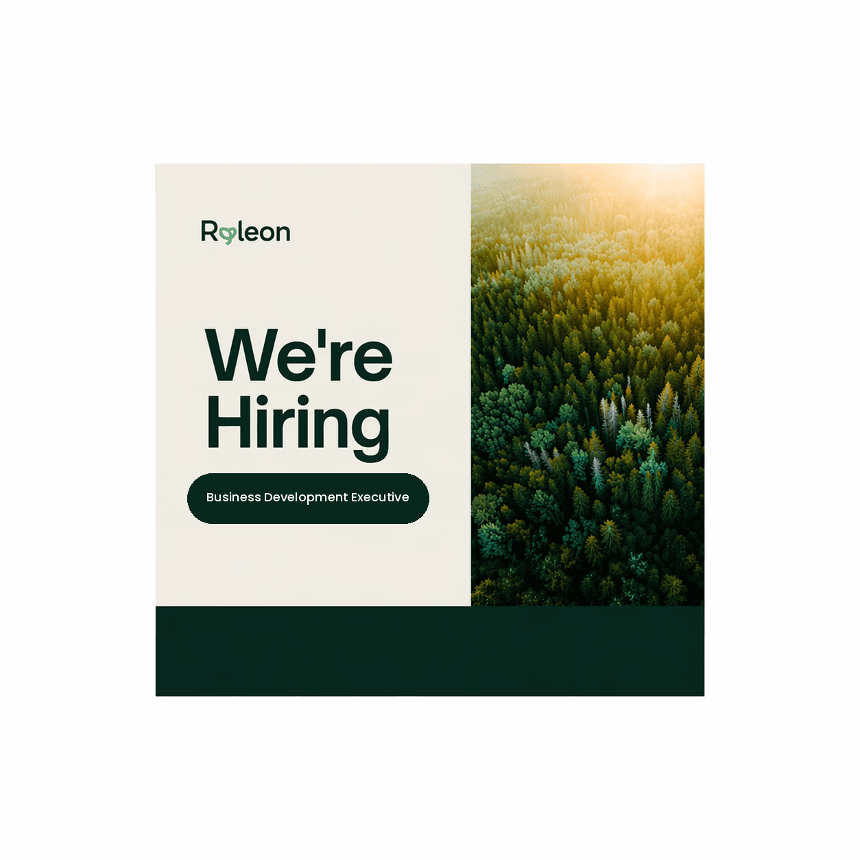 Ryleon job vacancy: We're Hiring a Business Development Executive in sustainable packaging