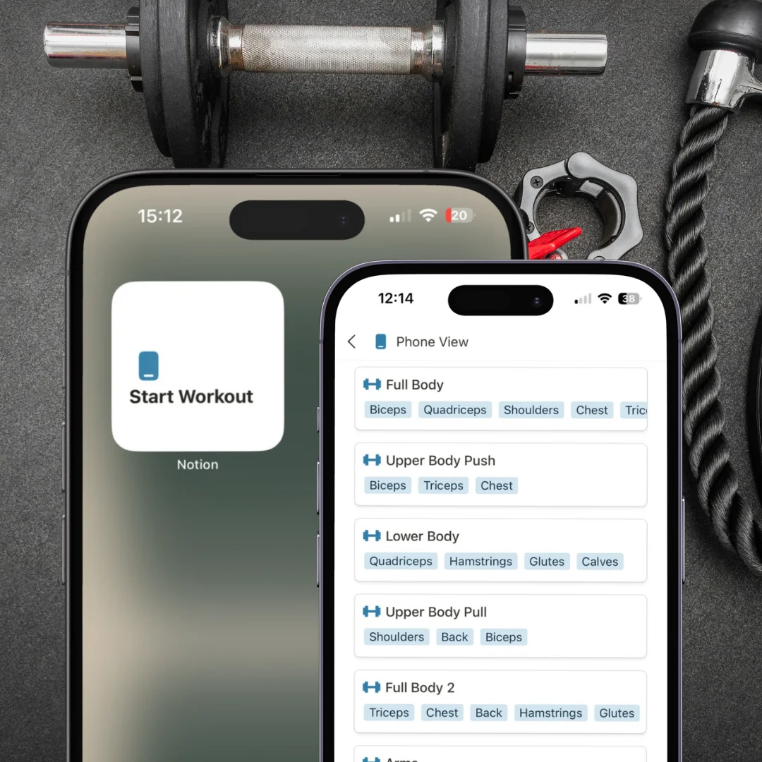 notion workout app